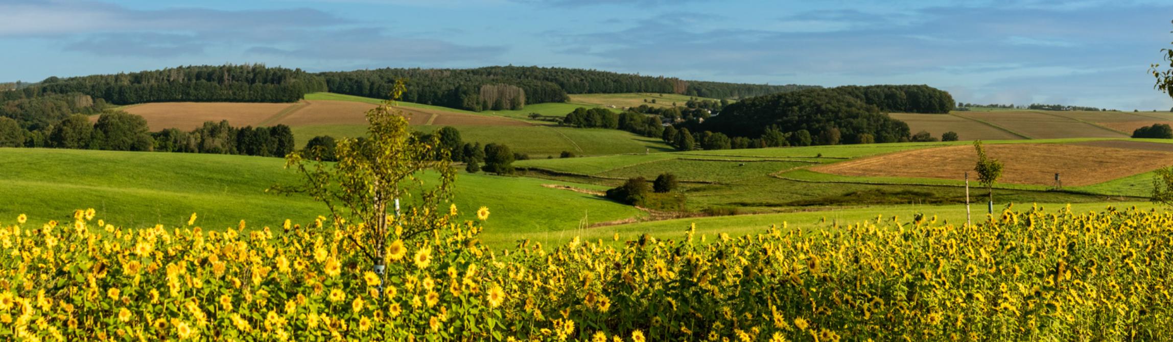Pastoraler Raum Betzdorf
