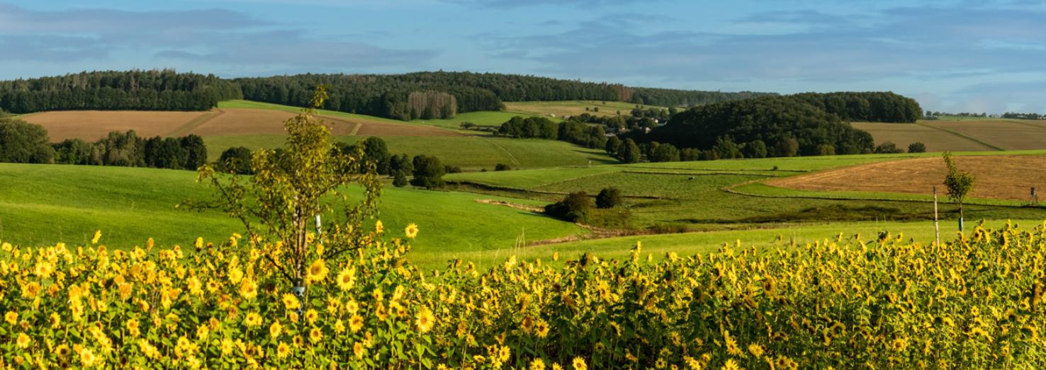 Pastoraler Raum Betzdorf