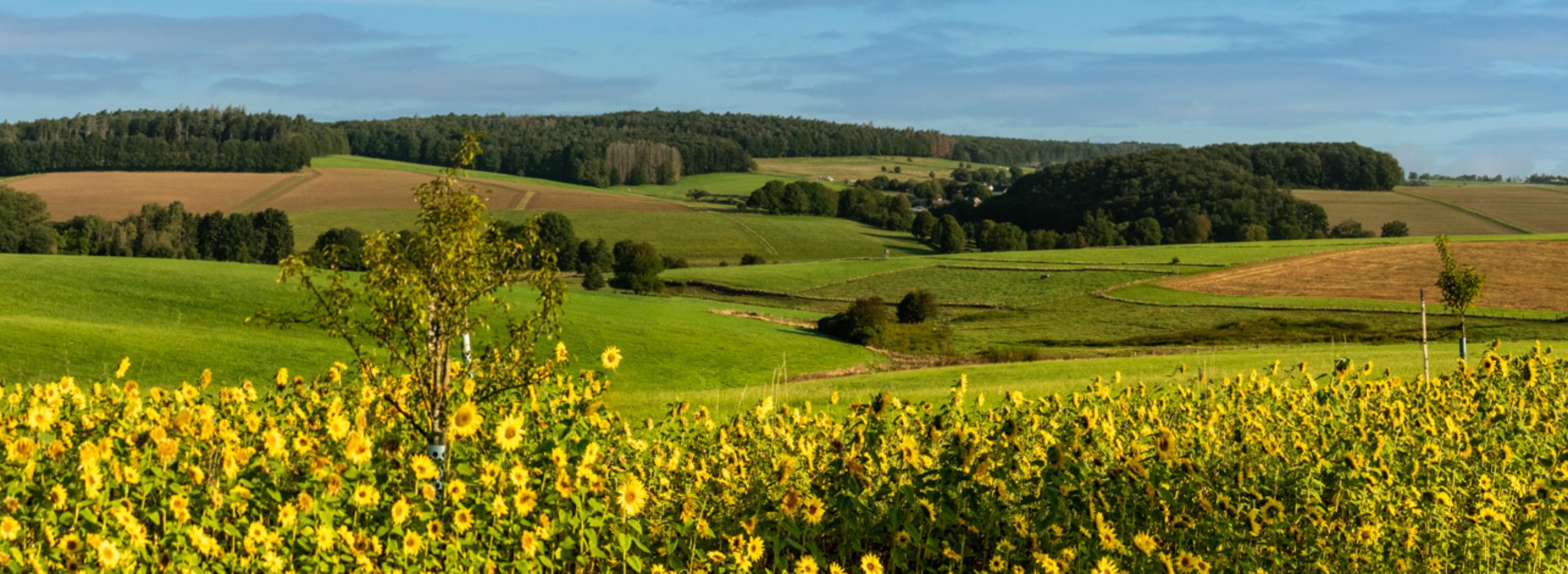 Pastoraler Raum Betzdorf