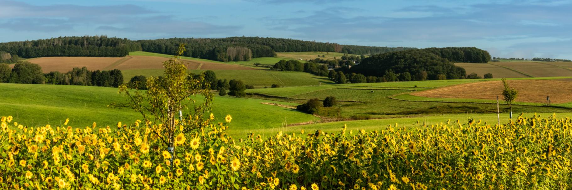 Pastoraler Raum Betzdorf