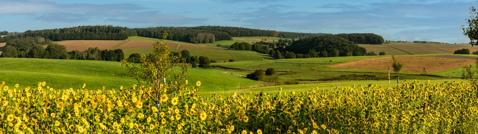 Pastoraler Raum Betzdorf