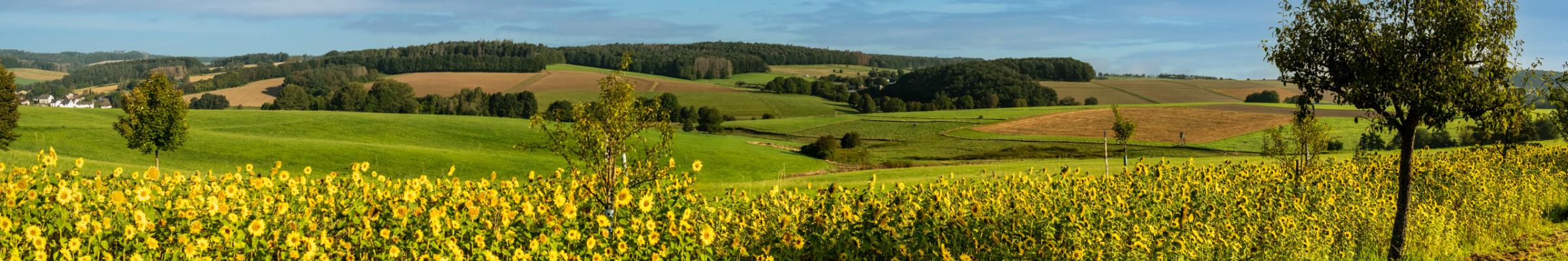 Pastoraler Raum Betzdorf