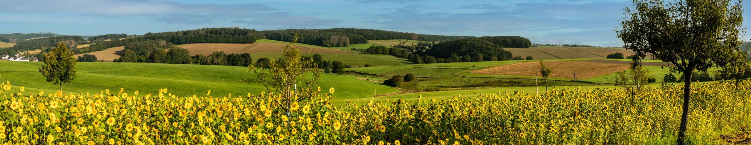 Pastoraler Raum Betzdorf