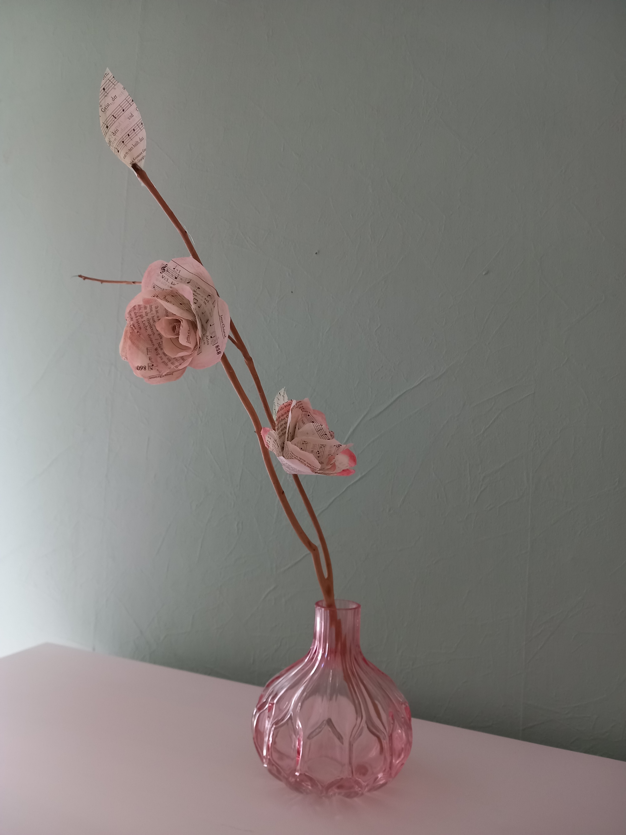 2024-03 Rosenblüte lang
