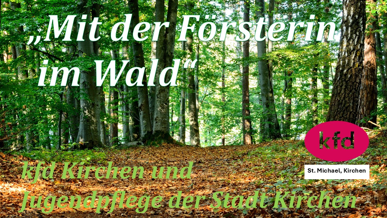2026-07 kfd Kirchen - Mit der Försterin im Wald 2026 16zu9